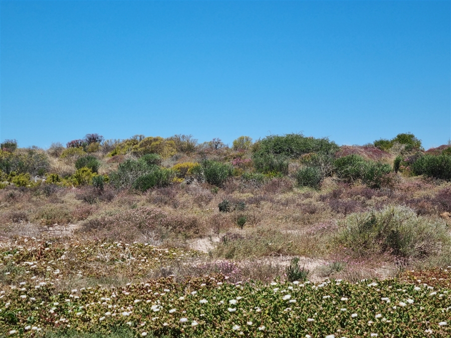 0 Bedroom Property for Sale in St Helena Views Western Cape